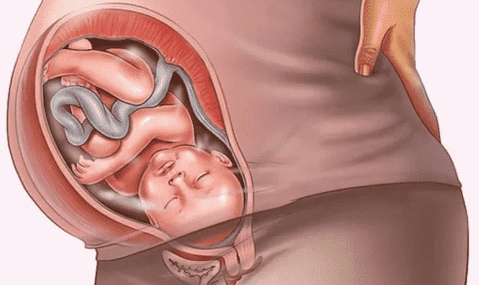 Cơ thể người mẹ thay đổi như thế nào khi ở tuần thứ 32 của thai kỳ?