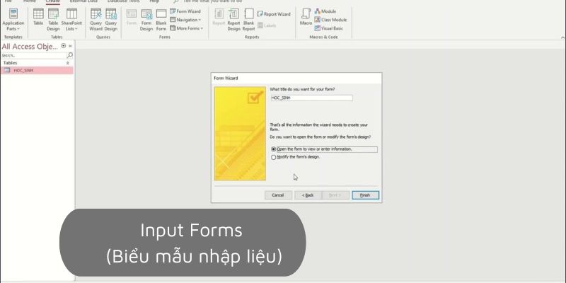 Input Forms (Biểu mẫu nhập liệu)